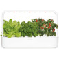 Jardin dIntérieur Hydroponique Click & Grow: Cultivez Facilement Vos Herbes et Légumes Frais! Jardin dIntérieur Hydroponique Click & Grow: Cultivez Facilement Vos Herbes et Légumes Frais!