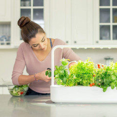 Smart Garden 9, le kit de jardinage intérieur