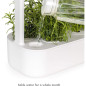 Jardin dIntérieur Hydroponique Click & Grow: Cultivez Facilement Vos Herbes et Légumes Frais! Jardin dIntérieur Hydroponique Click & Grow: Cultivez Facilement Vos Herbes et Légumes Frais!