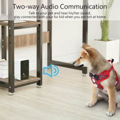 Iseebiz Pet Cam, the distributor camera