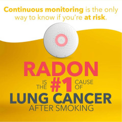Airthings 2950 Wave, the smart radon detector