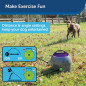 PetSafe Automatic Dog Ball Launcher: Keep Your Pup Active & Entertained! PetSafe Automatic Dog Ball Launcher: Keep Your Pup Active & Entertained!