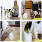 All For Paws Automatic Dog Ball Launcher: Keep Your Pup Active & Happy! All For Paws Automatic Dog Ball Launcher: Keep Your Pup Active & Happy!