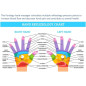 Koovon Pistolet de Massage: Soulagement Musculaire Profond + Massage Mains Offert! Purology LXB