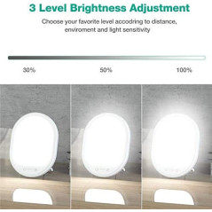 Light Therapy Lamp, UV-Free 10000 Lux Therapy Light, Touch Control with 3 Adjustable Brightness Levels and 4 Timer Function,