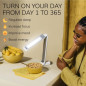 Happy Light Therapy Lamp: 10000 Lux, Adjustable Brightness - Beat the Winter Blues! Happy Light Therapy Lamp: 10000 Lux, Adjustable Brightness - Beat the Winter Blues!