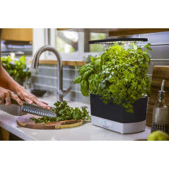 AeroGarden Harvest - Indoor Garden with LED Grow Light, Black