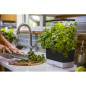 AeroGarden Harvest : Votre Jardin dIntérieur Intelligent pour Herbes et Légumes Frais AeroGarden Harvest : Votre Jardin dIntérieur Intelligent pour Herbes et Légumes Frais