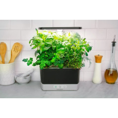 AeroGarden Harvest - Indoor Garden with LED Grow Light, Black