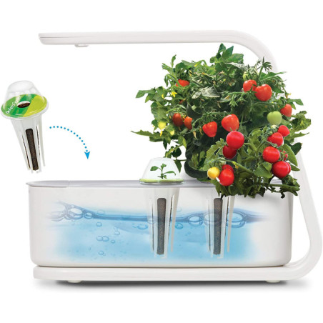 AeroGarden Sprout: Grow Fresh Herbs & Veggies Indoors - Year-Round Gardening Made Easy!