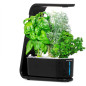 AeroGarden Sprout Noir: Votre Mini Jardin dIntérieur LED pour Herbes Fraîches