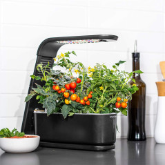 AeroGarden Sprout Noir: Votre Mini Jardin dIntérieur LED pour Herbes Fraîches