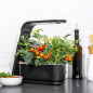 AeroGarden Sprout Noir: Votre Mini Jardin dIntérieur LED pour Herbes Fraîches