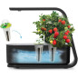 AeroGarden Sprout Noir: Votre Mini Jardin dIntérieur LED pour Herbes Fraîches