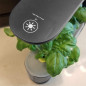 AeroGarden Sprout Noir: Votre Mini Jardin dIntérieur LED pour Herbes Fraîches