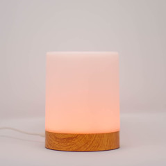 Single Friendship Lamp by LuvLinkâ„¢ (one lamp only)