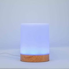 LuvLink : Lampe dAmitié Connectée - Illuminez lAmour, Peu Importe la Distance!