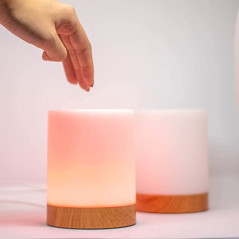 Friendship Lamp by LuvLinkâ„¢ (two lamp only)