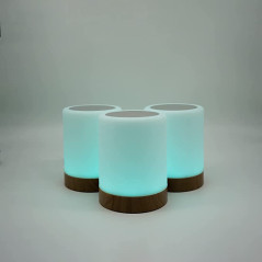 copy of Friendship Lamp by LuvLinkâ„¢ (two lamp only)