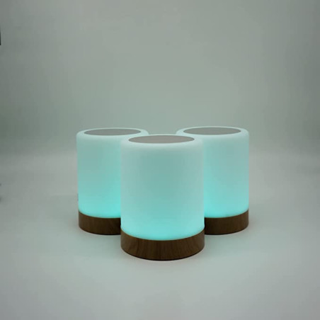 copy of Friendship Lamp by LuvLinkâ„¢ (two lamp only)