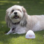 Doggie Shusher : Machine sonore apaisante USB-C pour chien anxieux - Enfin du calme ! Doggie Shusher : Machine sonore apaisante USB-C pour chien anxieux - Enfin du calme !