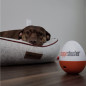 Doggie Shusher : Machine sonore apaisante USB-C pour chien anxieux - Enfin du calme ! Doggie Shusher : Machine sonore apaisante USB-C pour chien anxieux - Enfin du calme !