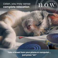 n.o.w. Tone Therapy. Reduce Stress and Anxiety Now. Feel Embodied Awareness. Intentional 3 Minute Play Time is Shown to be How