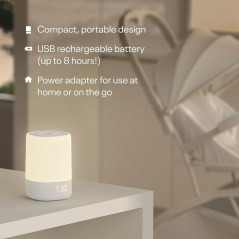 Xiaomi Mi Smart Speaker with Bluetooth speaker built-in.