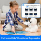 Codey Rocky: The Fun Way to Learn Coding! Interactive Robot for Kids 6+, STEM Education Toy