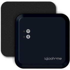igloohome WiFi Bridge: Control Your Smart Lock From Anywhere! Real-Time Alerts & Remote Access