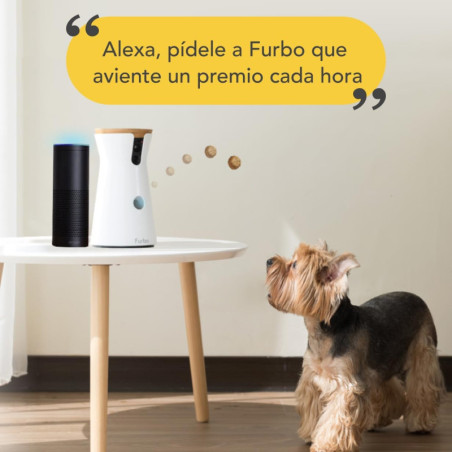 Furbo : Caméra pour Chien avec Distributeur de Friandises - Surveillez et Récompensez Votre Toutou à Distance!