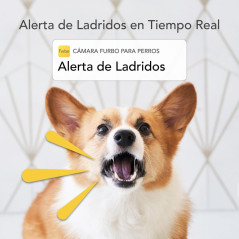 Furbo Dog Camera Keep an Eye on Your Pet Anytime Anywhere