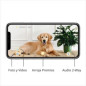 Furbo : Caméra pour Chien avec Distributeur de Friandises - Surveillez et Récompensez Votre Toutou à Distance!