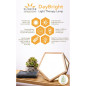DayBright Light Therapy Lamp: 10,000 Lux, UV-Free, Remote Control, Sustainable Wood Design DayBright Light Therapy Lamp: 10,000 Lux, UV-Free, Remote Control, Sustainable Wood Design