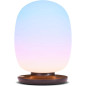 SKYVIEW Wellness Lamp: NASA-Inspired Light Therapy for Enhanced Sleep, Mood & Focus SKYVIEW Wellness Lamp: NASA-Inspired Light Therapy for Enhanced Sleep, Mood & Focus