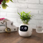 Ivy Smart Pet Planter: Grow Smarter with Emoji Feedback & Auto Watering! Perfect Desk Plant Companion Ivy Smart Pet Planter: Grow Smarter with Emoji Feedback & Auto Watering! Perfect Desk Plant Companion