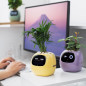 Ivy Smart Pet Planter: Grow Smarter with Emoji Feedback & Auto Watering! Perfect Desk Plant Companion Ivy Smart Pet Planter: Grow Smarter with Emoji Feedback & Auto Watering! Perfect Desk Plant Companion