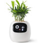 Ivy Smart Pet Planter: Grow Smarter with Emoji Feedback & Auto Watering! Perfect Desk Plant Companion Ivy Smart Pet Planter: Grow Smarter with Emoji Feedback & Auto Watering! Perfect Desk Plant Companion