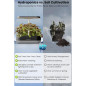 Inbloom Hydroponics Growing System: Indoor Herb Garden Kit with LED Light & Automatic Water Pump - Grow Fresh Herbs & Veggies! Inbloom Hydroponics Growing System: Indoor Herb Garden Kit with LED Light & Automatic Water Pump - Grow Fresh Herbs & Veggies!