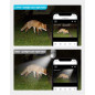 Caméra Ampoule WiFi LaView 4MP: Sécurité 360°, Vision Nocturne Couleur & Suivi Intelligent Caméra Ampoule WiFi LaView 4MP: Sécurité 360°, Vision Nocturne Couleur & Suivi Intelligent