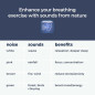 Breathing Buddha: Guided Meditation for Stress Relief & Calm | Mindfulness Tool for Adults & Kids Breathing Buddha: Guided Meditation for Stress Relief & Calm | Mindfulness Tool for Adults & Kids