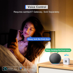 Serrure Intelligente Biométrique Argentée : Accès Facile par Empreinte, Code, Alexa – Sécurité Renforcée
