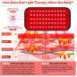 Ceinture de luminothérapie rouge et infrarouge GMOWNW : Soulagement ciblé des douleurs musculaires et articulaires Ceinture de luminothérapie rouge et infrarouge GMOWNW : Soulagement ciblé des douleurs musculaires et articulaires