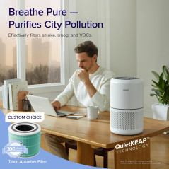 Purificateur d'air LEVOIT HEPA 1074 ft² - Anti allergie, poussière