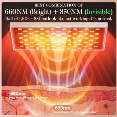 Lampe de Thérapie LED Rouge/Infrarouge : Rajeunissement & Soulagement à Domicile