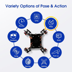 STEM Robotics Kit for Adults & Teens – ESP8266 Spider Robot Toy Gift