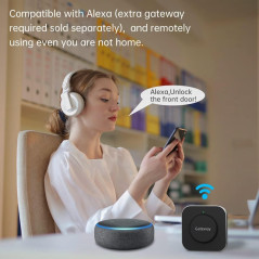 Serrure Intelligente SMONET : Accès sans clé, Bluetooth, Alexa