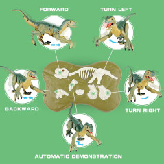 Dino Télécommandé VERTOY - Jouet Velociraptor Lumière & Son