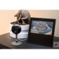 Kasa Cam: 1080p Smart Security Camera - Protect Your Home with 2-Way Audio & Night Vision! Kasa Cam: 1080p Smart Security Camera - Protect Your Home with 2-Way Audio & Night Vision!