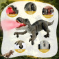 Remote Control T-Rex Dinosaur Toy with Realistic Legs & Spray Stream, Robot Dinosaur Gift for Boys 3-7 Years Remote Control T-Rex Dinosaur Toy with Realistic Legs & Spray Stream, Robot Dinosaur Gift for Boys 3-7 Years